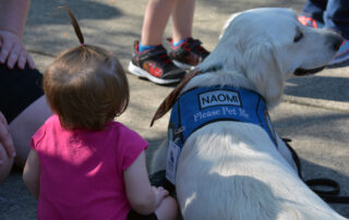 small child next to service dog